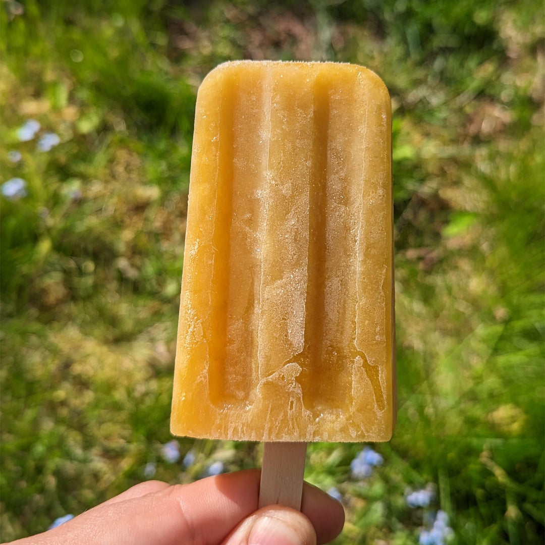 Mango Paleta