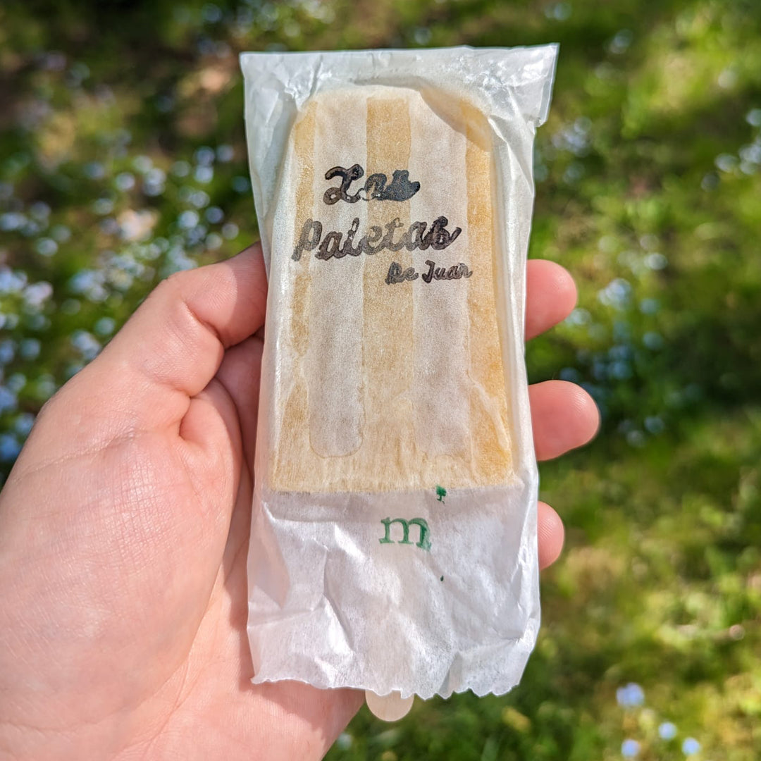 Mango Paleta