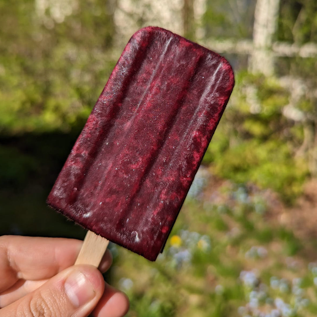 Blueberry Lemonade Paleta