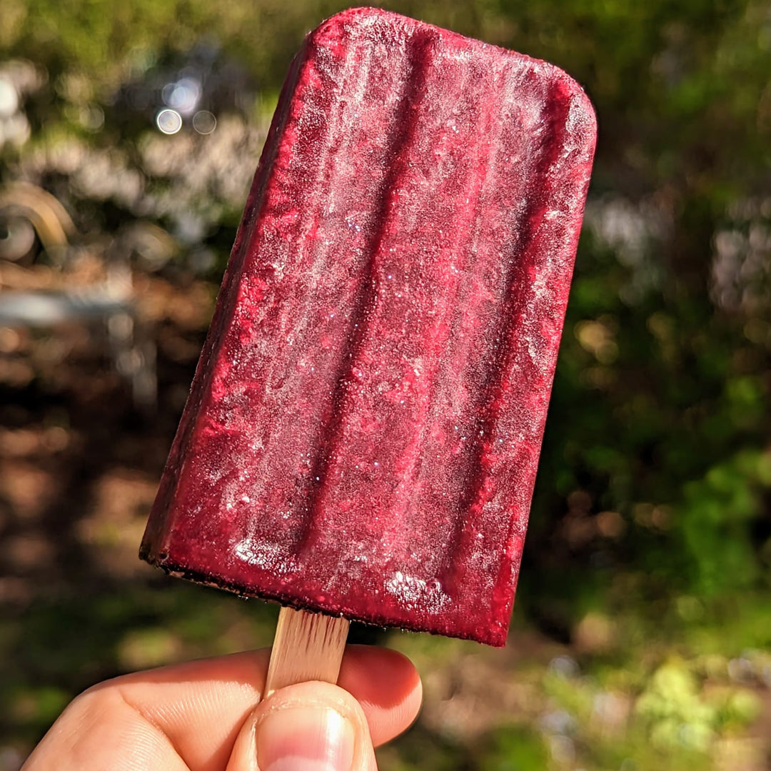 Blueberry Lemonade Paleta